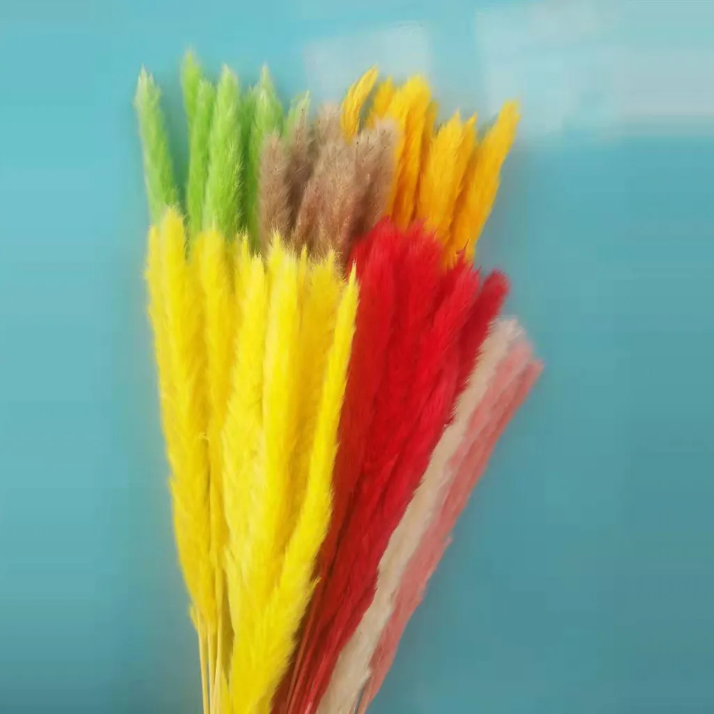 15 шт., Натуральные Сушеные маленькие пампасы, Phragmites, Искусственные Свадебные цветы, букет для домашнего декора, искусственные цветы# LR1