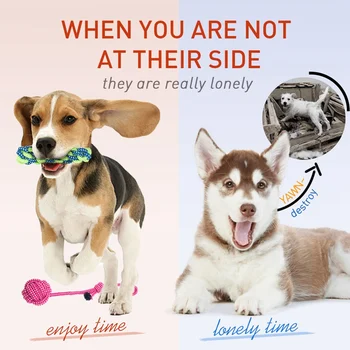 

10 piece set Pets dogs pet supplies Pet Dog Puppy Cotton Chew Knot Toy Durable Braided Bone Rope Funny Tool