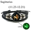 Sagittarius-Luminous