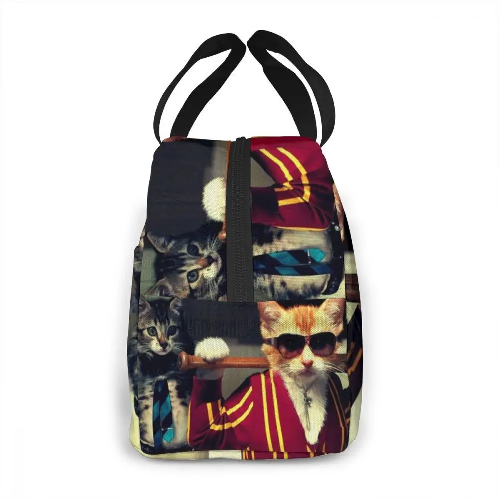 Бесшумный дизайн для женщин дети свежий герметизирующий холодный сумки для ланча крутые кошки печать тепловой пищевой ящик для пикника тепловой мешок Lonchera Mujer