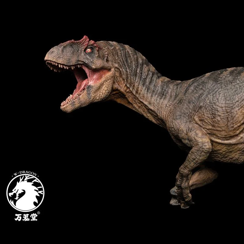 

W-Dragon 1:35 Scale Tiger Grain Coloring 2019 Prehistoric Allosaurus Model Animal Toy Gift