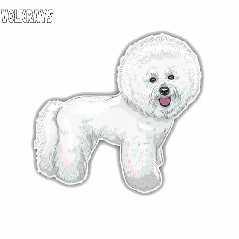 bichon frise accessories