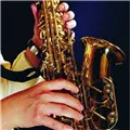 Do Re Mi Musical instrument factory Store