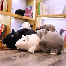 Animal en Peluche mignon avec souris et grands yeux, 21cm, 1 pièce, poupée pour bébés, enfants, cadeau d'anniversaire, décoration de maison, mascotte