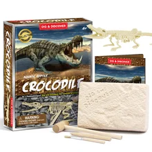Kit squelette de dinosaure fossile, figurine d'action, Kit éducatif scientifique, jouets pour enfants, Crocodile
