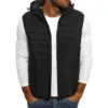 Coats 
