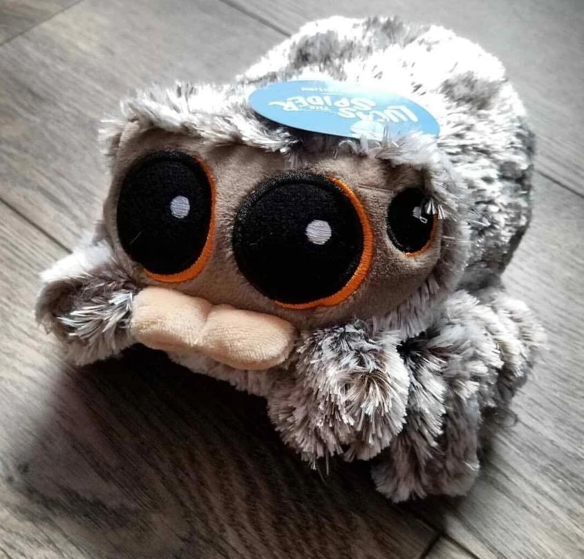 lucas the spider 1st edition