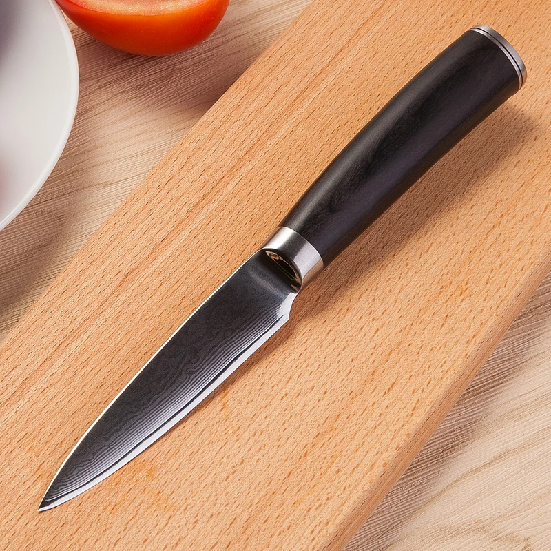 GRANDSHARP 3,5 дюймов нож для очистки овощей 67 слоев vg10 японский дамасский нож из нержавеющей стали VG10 кухонные инструменты для повара нож для фруктов