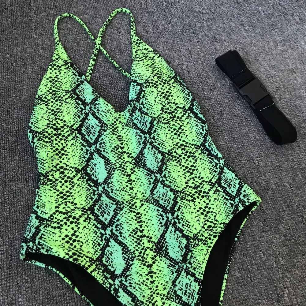 11156991355_939812669