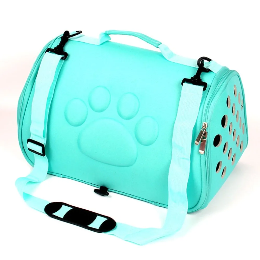 CP167801-ALL-20042401-1