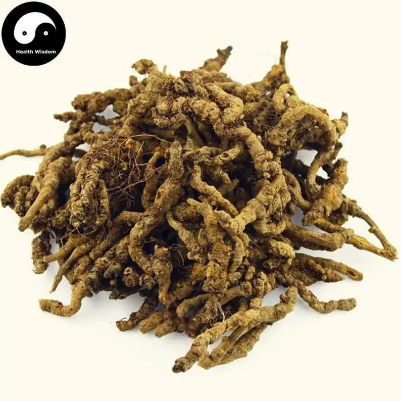 

Huang Lian, Rhizoma Coptidis, Chinese Goldthread Rhizome, Chuan Huang Lian
