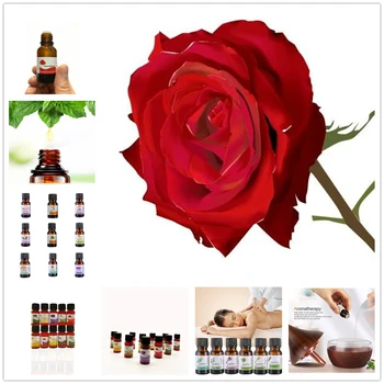 

Dropshipping Essential Oils 100% Pure Natural Orchid Cymbidium Aromatherapy Essential Fragrance Humidifier Clivia Crocus Sativus