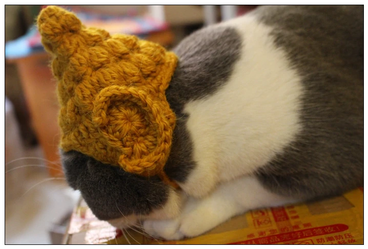 Шапка Будды, кошка, вязаная шапка, милый головной убор для домашних животных, товары для домашних животных, Забавный костюм фурри, модельная шапка для кошек, аксессуары