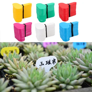 

100Pcs/set Tray Mark Tools PP Plastic Plant Tags Garden Nursery Label Plant Tags T-type Markers Nursery Pots Seedling Labels