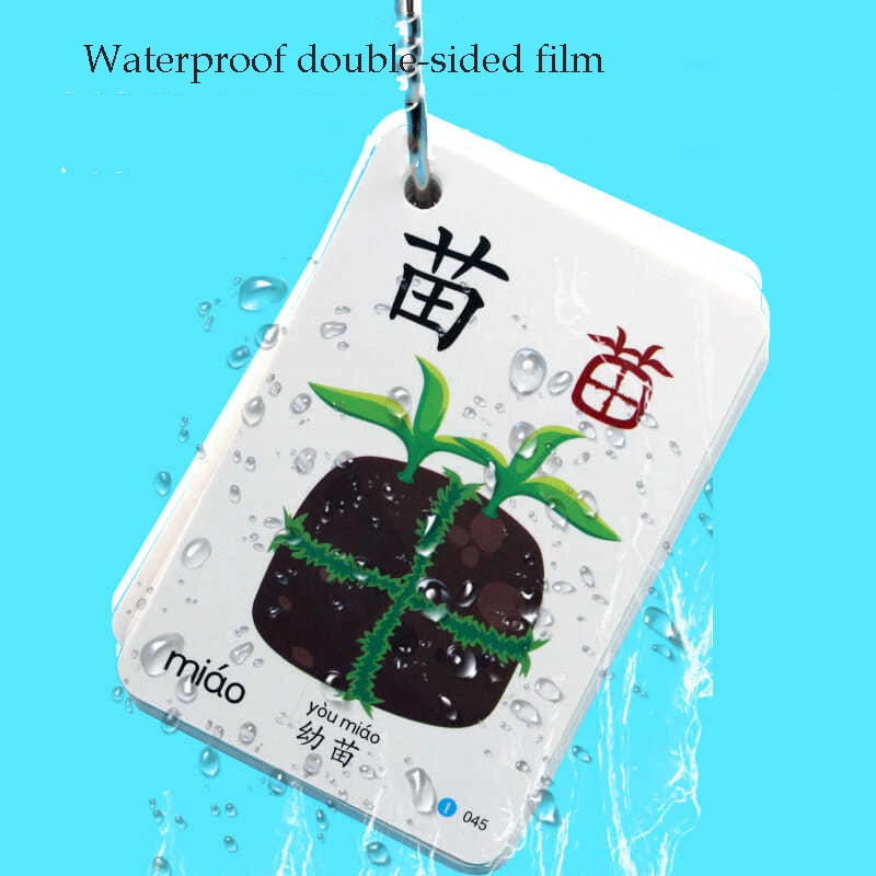 Рисунок 4 - Китайские книги Pinyin