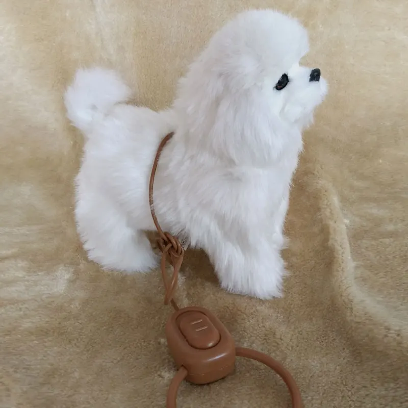White dog