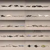 Sea World Mini Fishes Model 2