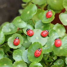 200 шт Миниатюрный Кукольный домик Божья коровка волшебный сад-Террариум Декор бонсай красный