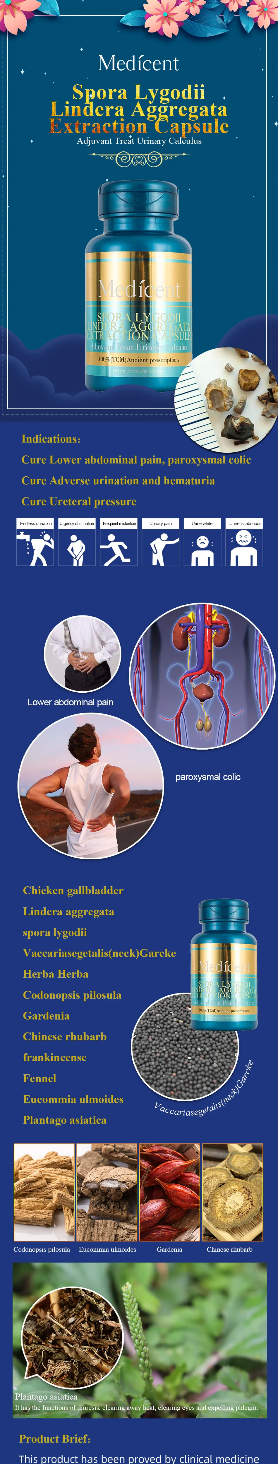Медицинская капсула для экстракции агрегатов Spora Lygodii Lindera ...