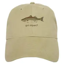 Получил зачистки машины? Бейсбол Кепки