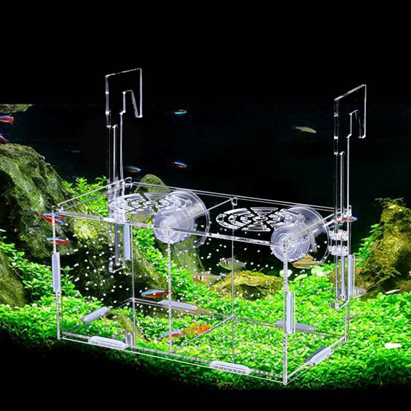 Fish Aquarium Fish Breeding Box Acrylic Aquarium Box Small Fish Isolation Net Tropical Fish Breeding Box Production Tank Aquarium Accessoories