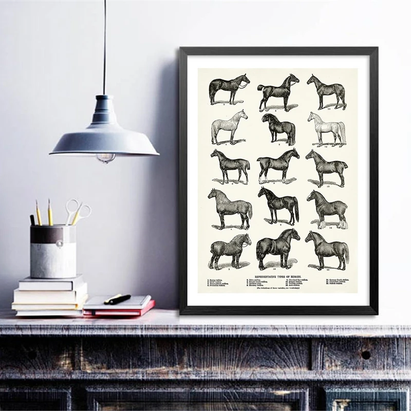 Types of Horses Poster Horseback Riding Wall Art Decor