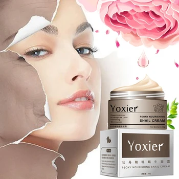 

Cosmetics Secret Skin Care Snail Cream Hyaluronic Acid Essence Face Cream Anti Aging Wrinkle Whitening Moisturizer 1Pcs Y1