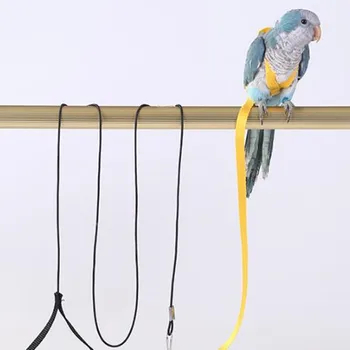 

Pet Parrot Bird Traction Rope Outdoor Training Pet Bird Flying Rope Traction Rope Pet Supplies