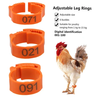 

HOOMIN 100Pcs/set Buckle Ring Adjustable Leg Digital Label For Chicken Duck Pigeon Color Randomly Foot Ring