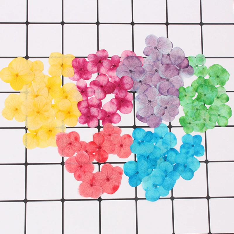 Hydrangea dried flower pressed flower Epoxy necklace jewelry pressed