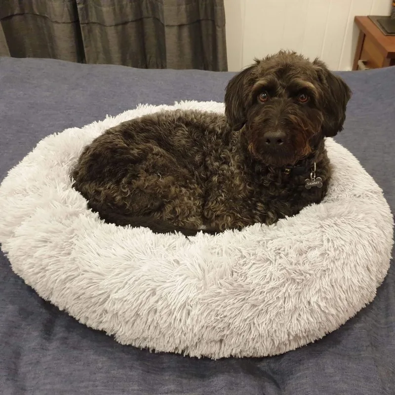 Removable Donut Long Plush Pet Dog Bed Kennel Round Bed Winter Warm Sleeping Lounger House Soft for Medium Large Dogs Washable Removable Donut Long Plush Pet Dog Bed Kennel Round Bed Winter Warm Sleeping Lounger House Soft for Medium Large Dogs Washable