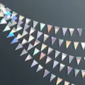 Iridescent  Rainbow