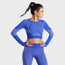 Женский бесшовный комплект для йоги, топы для йоги, штаны, одежда для фитнеса, спортивная одежда, одежда для спортзала, рубашки с длинным рукавом, 2 шт. костюмы