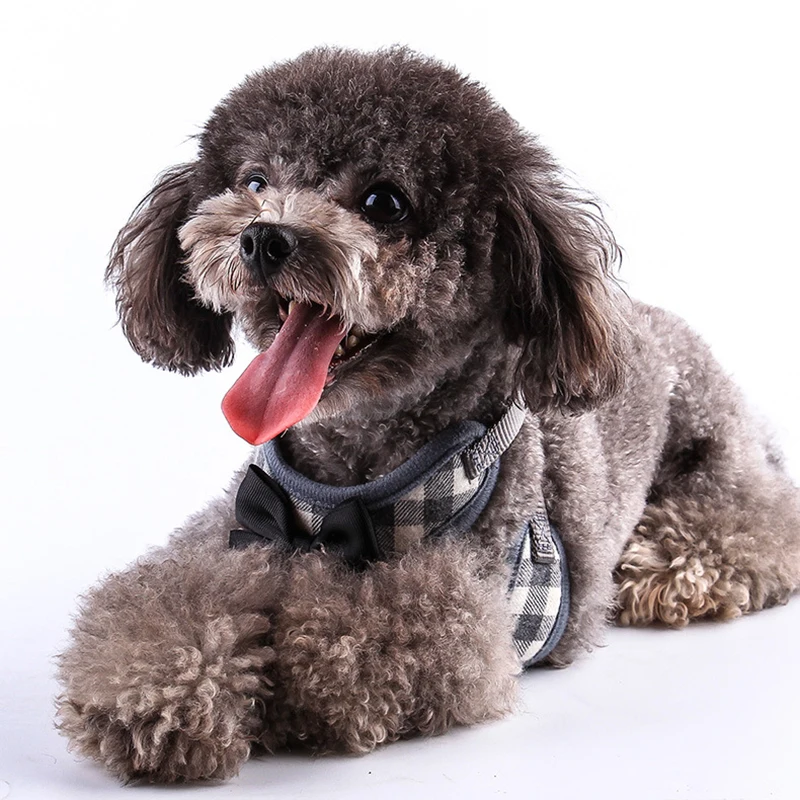 4592065241_1043553121