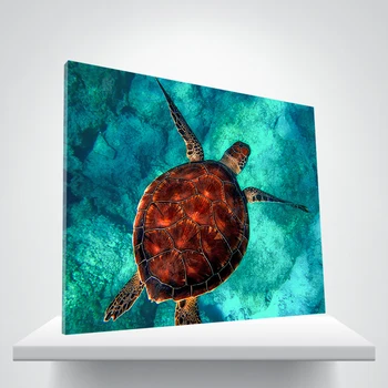 

AILIZZ FDZ-A(74) Painting by numbers the sea turtles