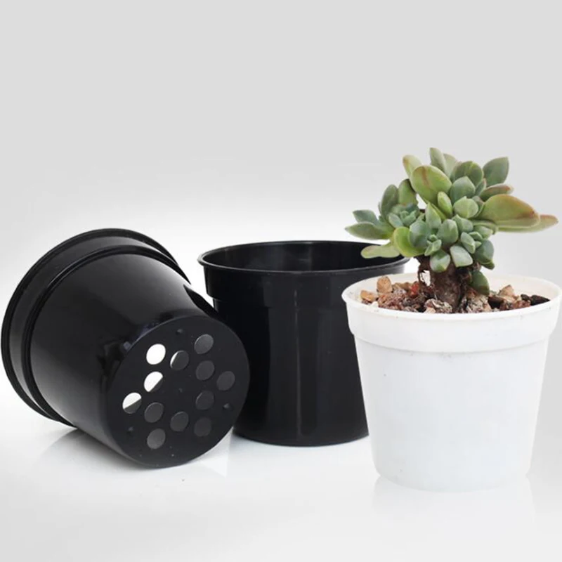 QQ截图20200330142544