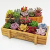 Garden Supplies