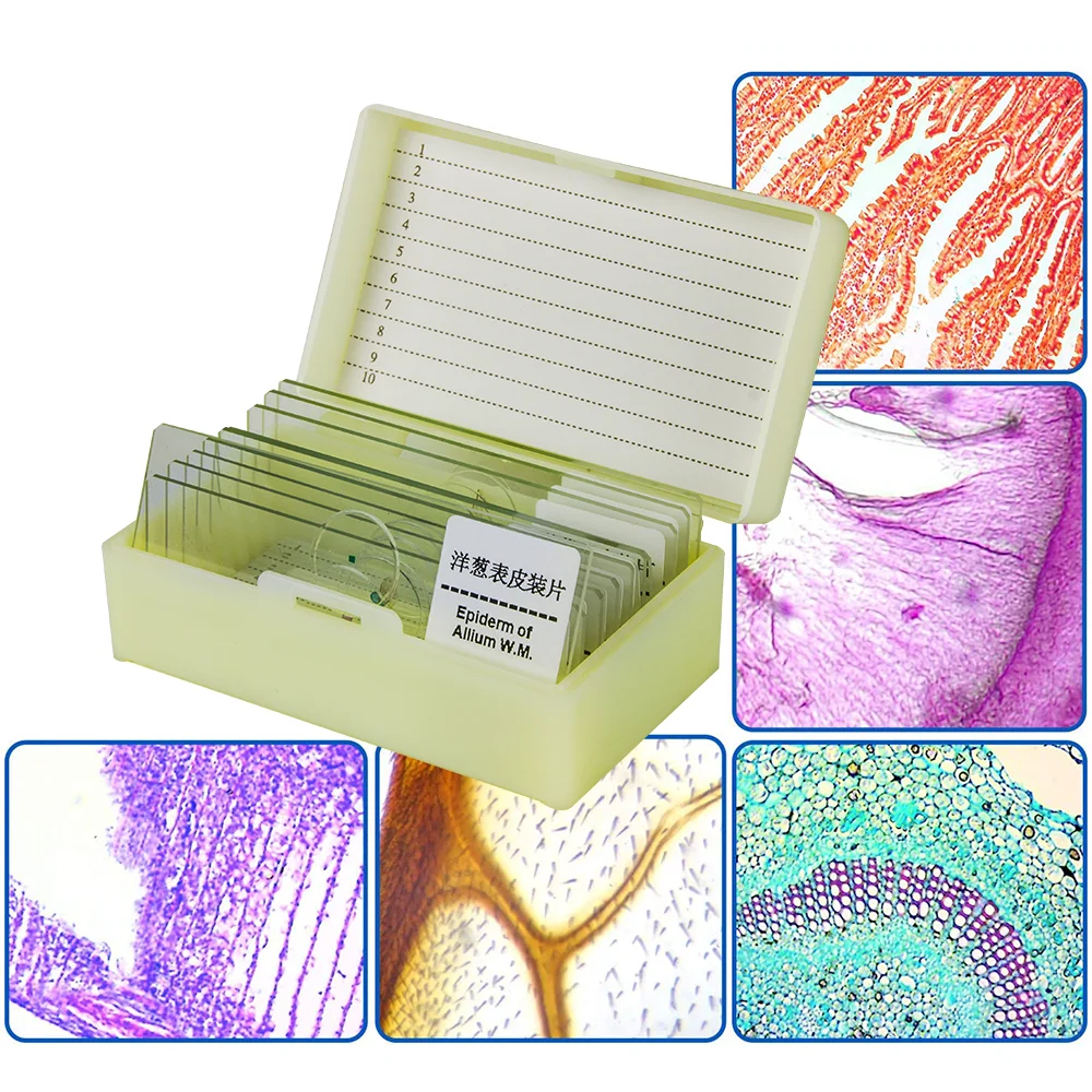 10PCS Professional Glass Slice Prepared Microscope Slides Educational Specimen Animals and Plants Tissue Sections,microscope glass slides