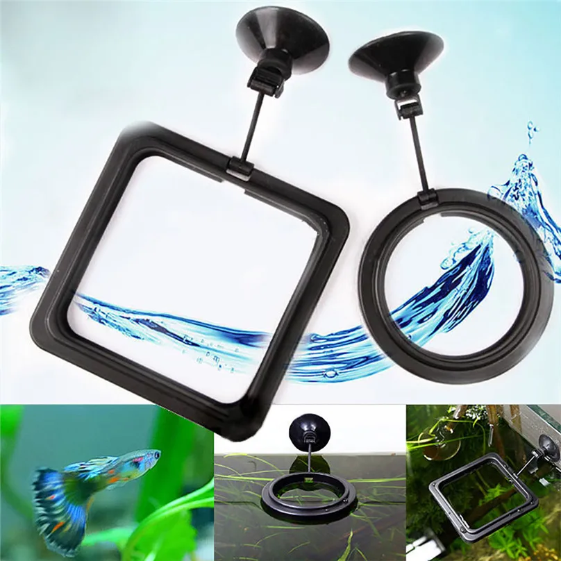 Hot sale Feeding Ring Aquarium Fish Tank Station Floating Food Tary Feeder Square Circle convenient #25j10 (9)