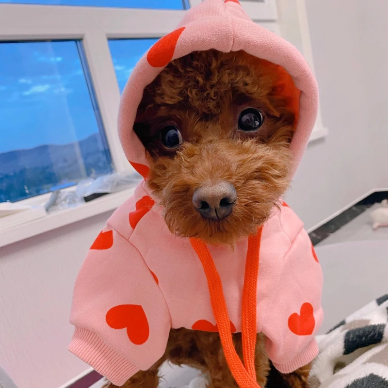 Heart Pattern Hoodie - Soft And Cute For Dog
