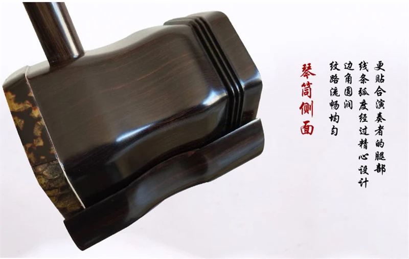 Ebony Upscale Musical Instrument by Wang Jiawang, Ture Python Skin, Full Erhu Accessories, Chinese Instrument