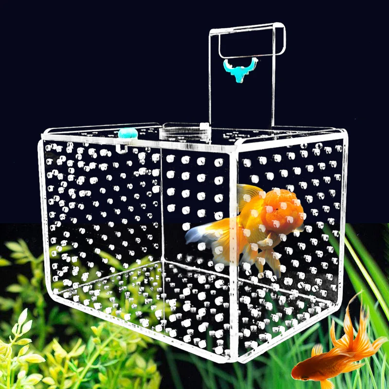 Aquarium Incubator Transparent Acylic Fish Tank Isolation Box Small Fry Breeding Box Aquatic Pet Supplies (hole Dia. 1mm/3mm) fish breeding box