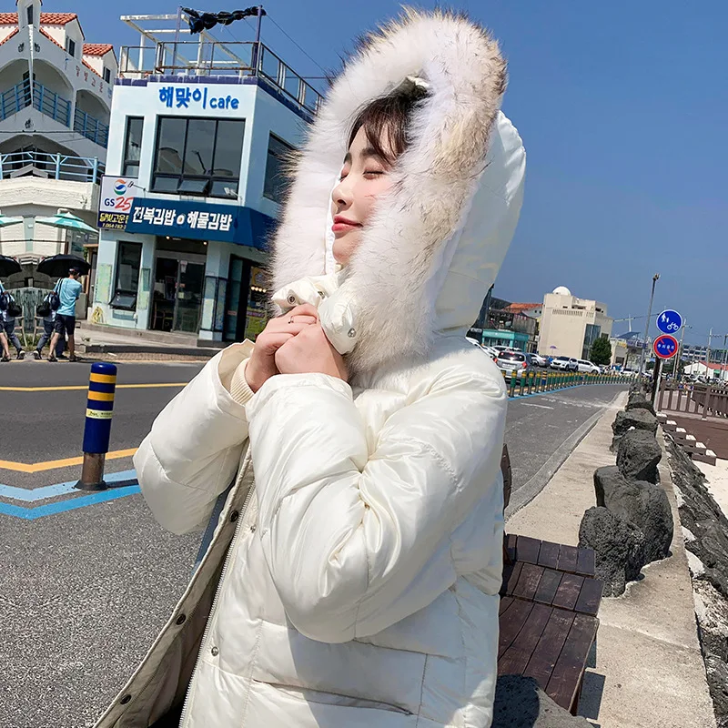 

Cotton-padded Jacket 2019 New Style Cotton-padded Clothes Mid-length down Jacket Cotton-padded Clothes Women's Winter Korean-sty