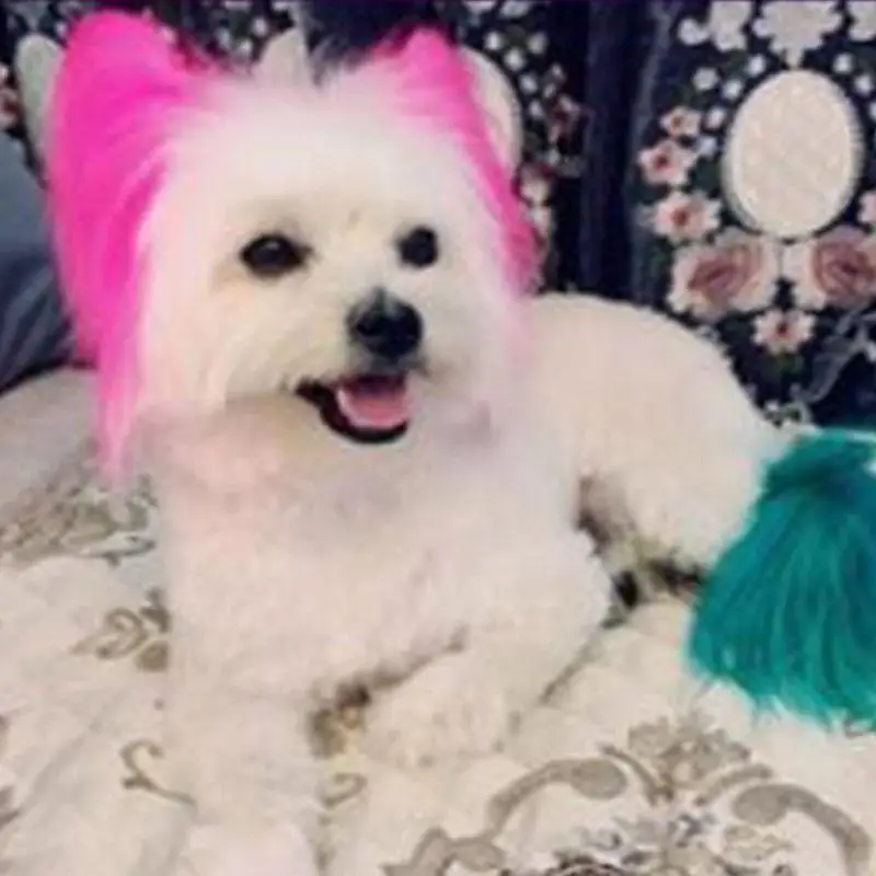 Гель-краска для волос для собак Pet профессиональный крем для волос цвет нетоксичный волосы DIY Восковая краска 3,51 унций/100 мл