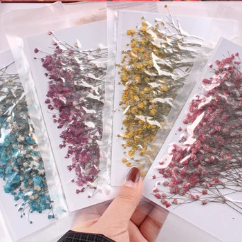 

50pcs/bag Gypsophila dried flower pressed flower embossed natural dried flower Epoxy dried flower phone case material