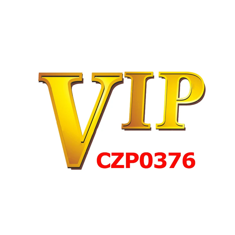 VIP CZP0376 Double Row Of Crystal Custom Made Picture Memory Medallions Solid Pendant Necklace For Men's Hip Hop Cubic Zircon |