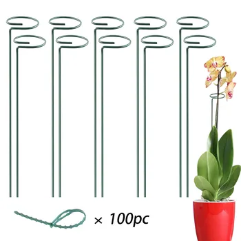 

Plant Stake Support 10PC Garden Single Stem Support Stake Plant Cage Support Ring Protection decor Garden bracket Patio, Lawn