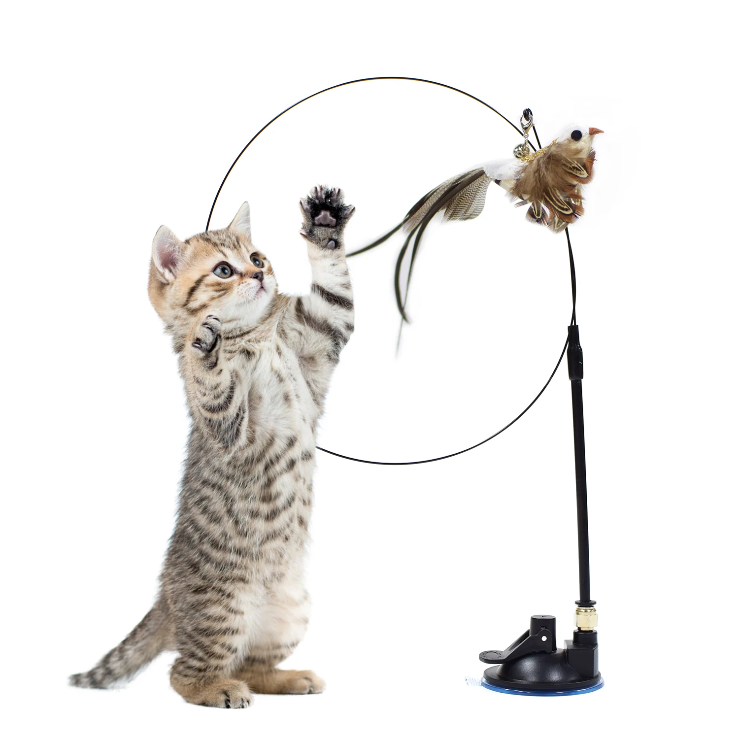 Cat Stick Toy - Dual Head Cat Fishing Pole Toy - Suction Cup Base Funny Cat  Toys for Indoor Cats Cat Teaser Cat String Toy with Fixed Clip ?? :  : Pet Supplies