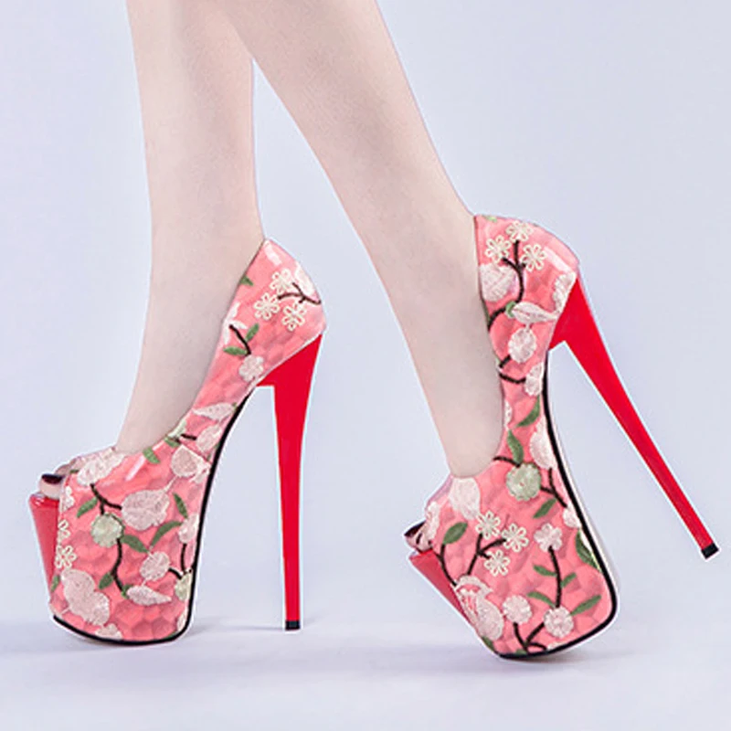 9458920004_511216355