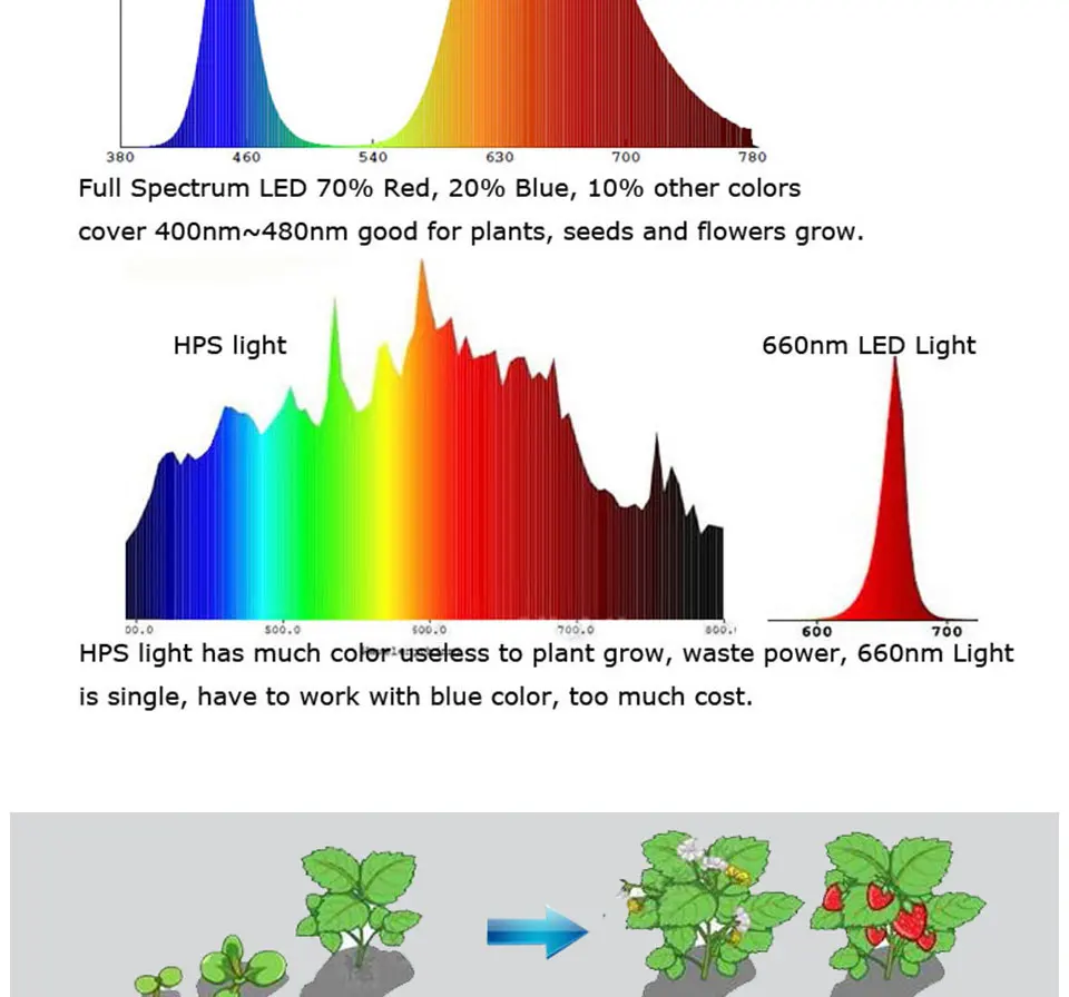 AC 110V 220V Driverless COB Plant Growing Lamp 20W 30W 50W Full Specturm Smart IC COB Chip LED Plant Grow Light Feeding Bulbs (20)